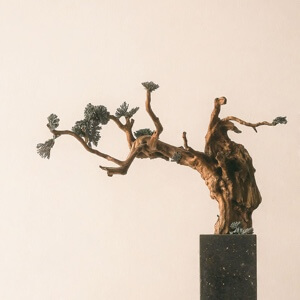 peiwa18的头像 - 少儿专区