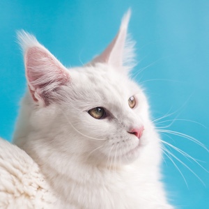 少儿专区的头像 - 少儿专区