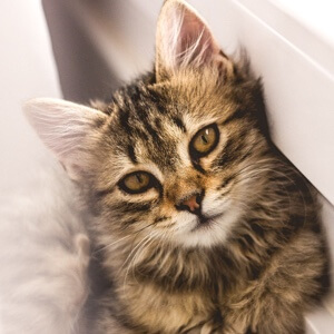 小嘿嘿2的头像 - 少儿专区